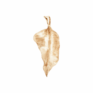 Ole Lynggaard Leaves Pendant A2871-401 bei Juwelier Mayrhofer in Linz